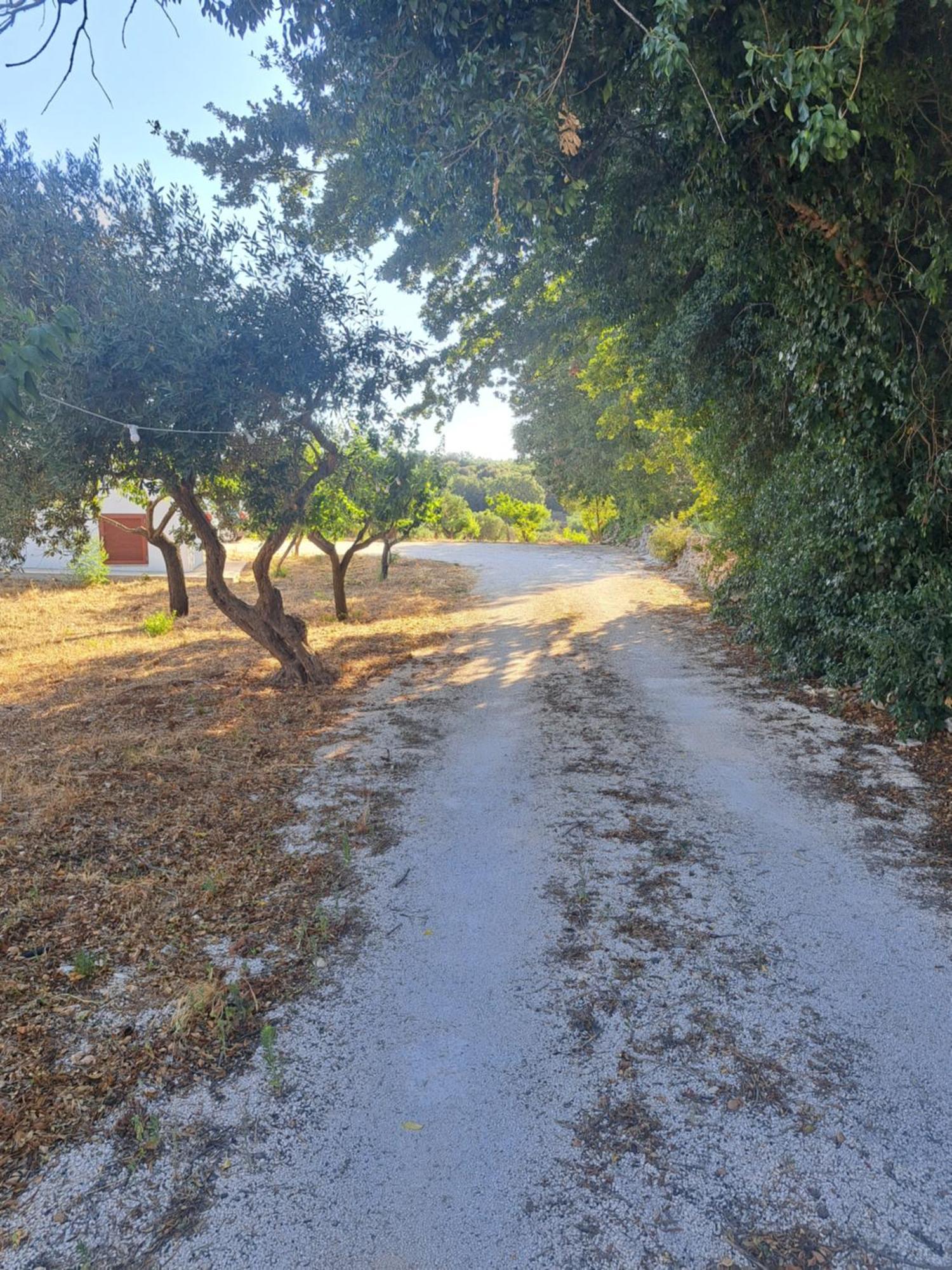 Viale Del Sole - Le Dimore Locorotondo Extérieur photo
