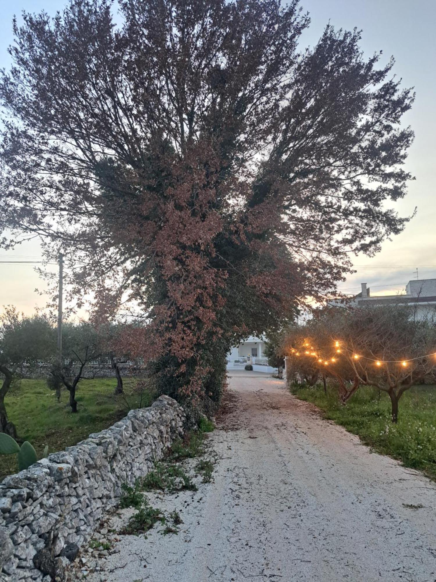 Viale Del Sole - Le Dimore Locorotondo Extérieur photo